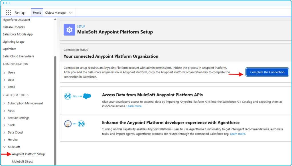 How to setup MuleSoft Vibes blog image